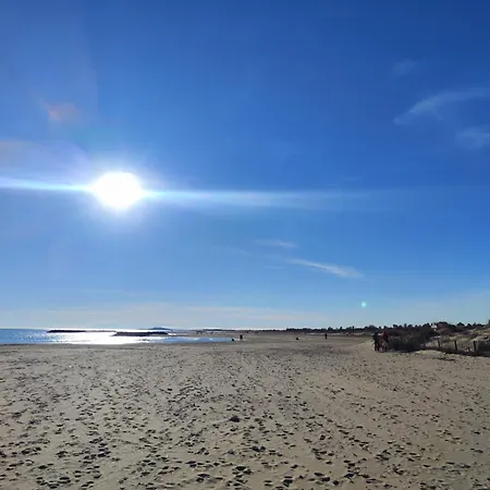 Le Duplex Panoramic Sur Et Lido